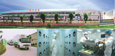 新營銷法則破局?jǐn)?shù)字化時(shí)代 廣西春江鹵味鴨掌如何以技術(shù)推廣引領(lǐng)零食行業(yè)新風(fēng)潮