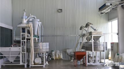 種植加工一體化 盂縣“辰厚、佳珍”產(chǎn)業(yè)發(fā)展持續(xù)發(fā)力與技術(shù)推廣新路徑